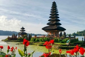 Bali: tour del nord di Bali con la cascata Yeh Hoo