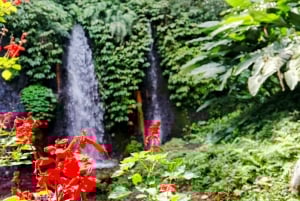 Bali: tour del nord di Bali con la cascata Yeh Hoo