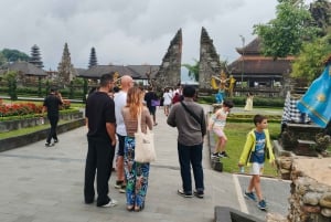 Bali: tour del nord di Bali con la cascata Yeh Hoo