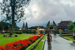 Bali: tour del nord di Bali con la cascata Yeh Hoo