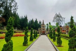 Bali: tour del nord di Bali con la cascata Yeh Hoo