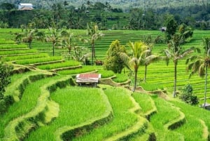 Bali: Noord-Bali reis met Jatiluwih en Ulun Danu Beratan