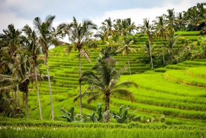 Bali: Noord-Bali reis met Jatiluwih en Ulun Danu Beratan