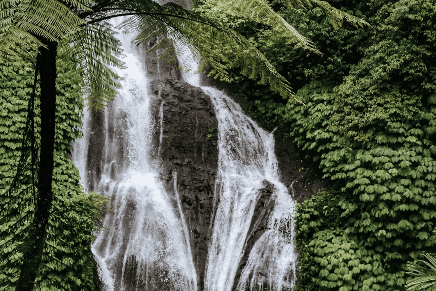 Bali: North Bali Waterfalls, Temples, and Rice Terraces Tour