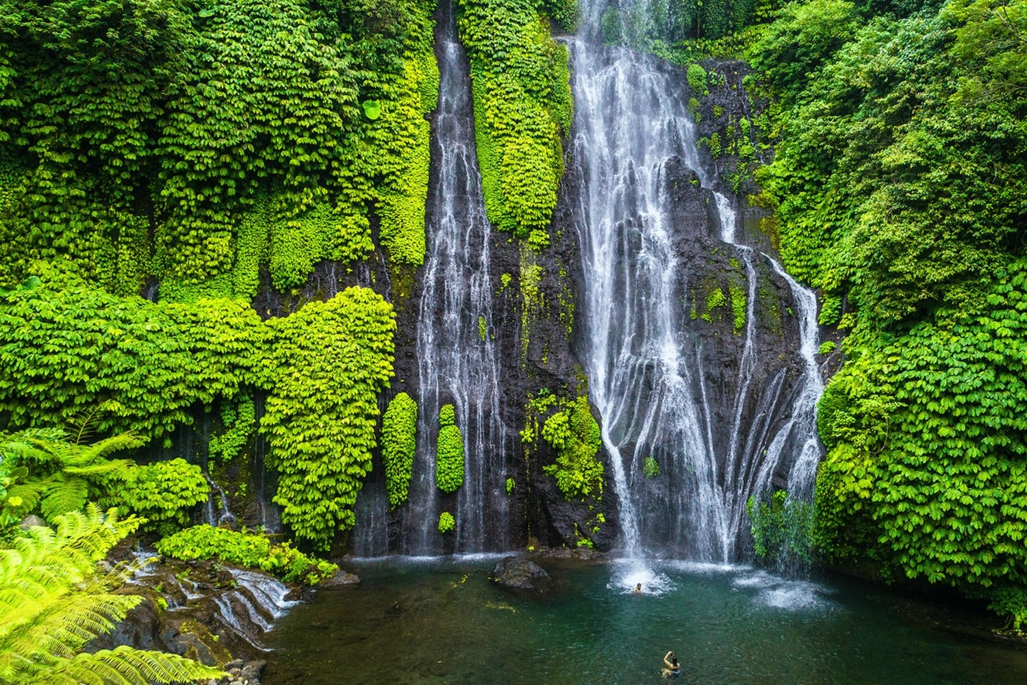 Bali: North Bali Waterfalls, Temples, and Rice Terraces Tour