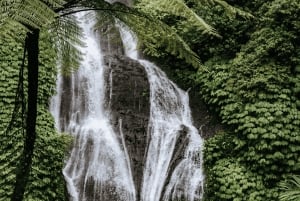 Bali: North Bali Waterfalls, Temples, and Rice Terraces Tour
