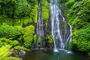 Bali: North Bali Waterfalls, Temples, and Rice Terraces Tour