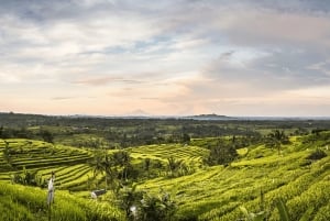 Bali: North Bali Waterfalls, Temples, and Rice Terraces Tour