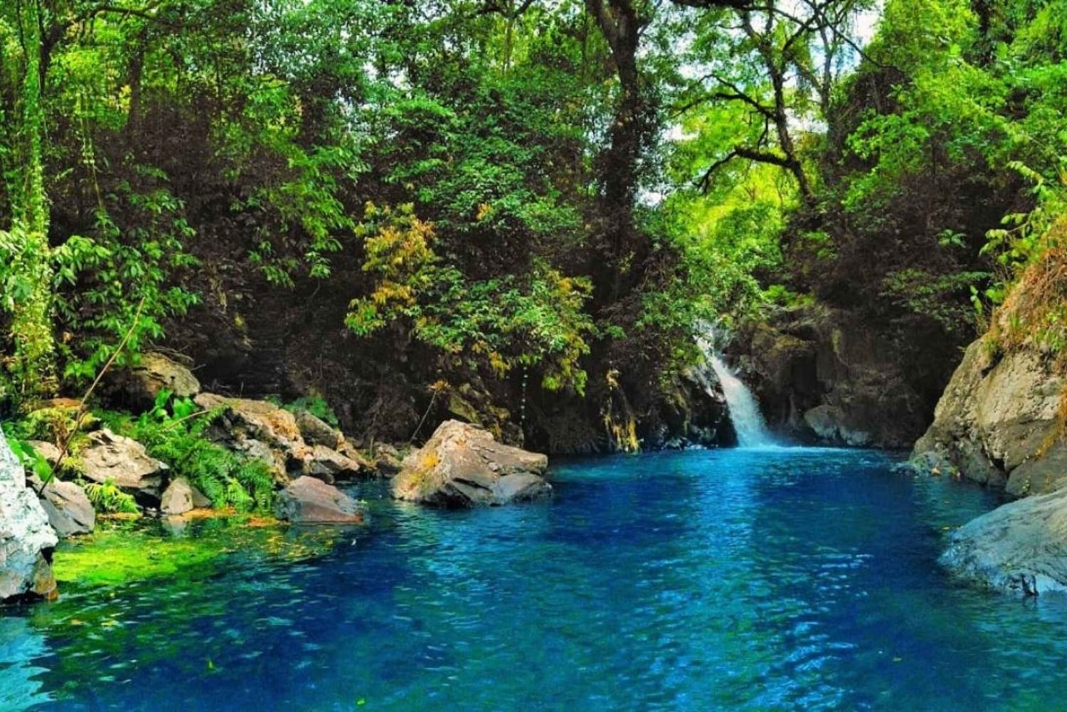 Bali: North Bali Waterfalls Tour With lunch and Tour Guide