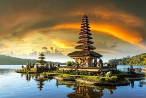 Bali: North Highlights Private Full-Day Customized Tour
