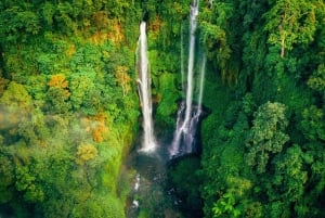 Bali: North Highlights Private Full-Day Customized Tour