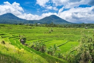 Bali: North Highlights Private Full-Day Customized Tour