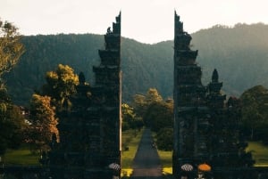 Bali: North Highlights Private Full-Day Customized Tour