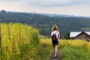 Bali: North Highlights Private Full-Day Customized Tour