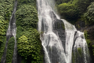 Bali Northern Trip : Majestic Waterfall Tour