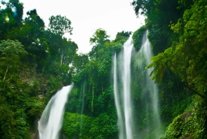 Bali Northern Trip : Circuit des chutes d'eau majestueuses