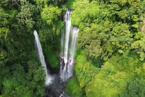 Bali Northern Trip : Circuit des chutes d'eau majestueuses