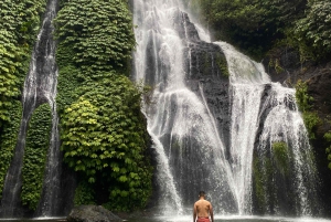 Bali Northern Trip : Circuit des chutes d'eau majestueuses