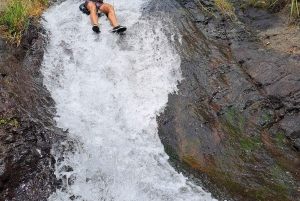 Bali Northern Trip : Circuit des chutes d'eau majestueuses