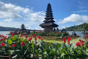 Bali Northern Trip : Circuit des chutes d'eau majestueuses