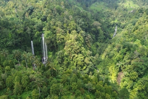 Bali Northern Trip : Circuit des chutes d'eau majestueuses