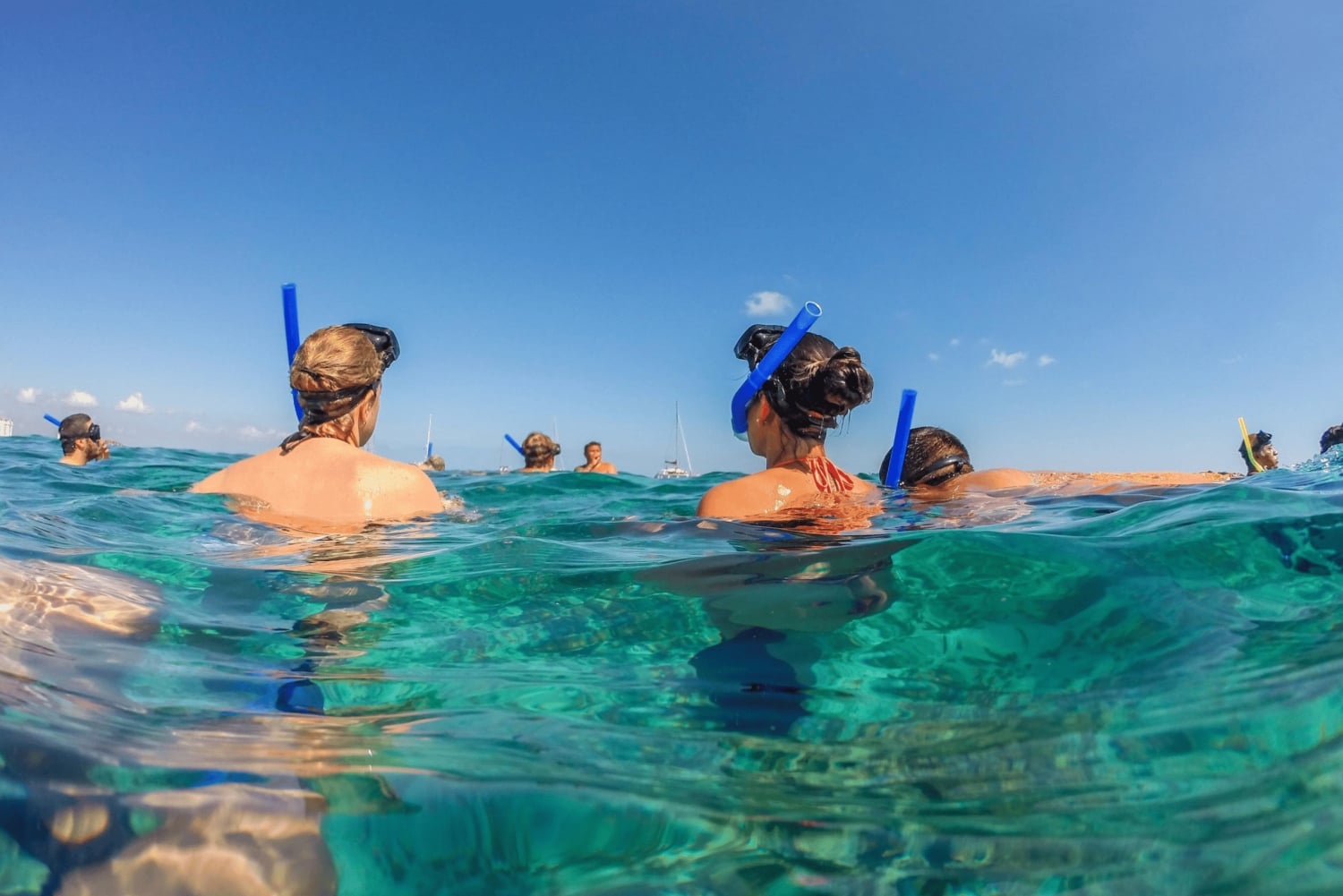Bali/Nusa Dua: snorklaus, lasipohjaisella veneellä ajelu ja kilpikonnakeskus