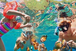 Bali/Nusa Dua: snorklaus, lasipohjaisella veneellä ajelu ja kilpikonnakeskus