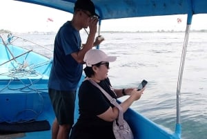 Bali/Nusa Dua: snorklaus, lasipohjaisella veneellä ajelu ja kilpikonnakeskus