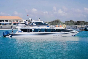 Bali: Nusa Lembongan Day Tour