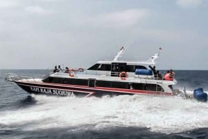 Bali: Nusa Lembongan Day Tour