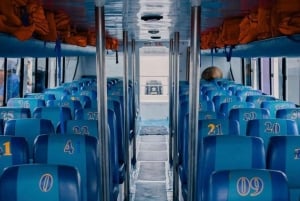 Бали: однодневная экскурсия на Нуса-Лембонган