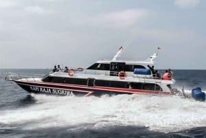 Бали: однодневная экскурсия на Нуса-Лембонган