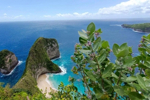 Bali : Nusa penida Adventure - All inclusive