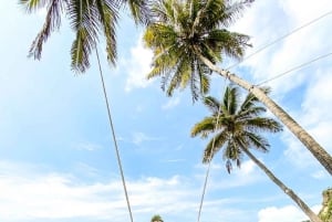 Bali: Nusa Penida alt inkludert-pakke