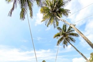 Bali: Nusa Penida All-Inclusive Package