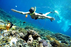 Bali Nusa Penida : Exploration des plages et activités en club