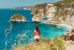 Bali/Nusa Penida: Öst & Väst Höjdpunkter Heldagstur