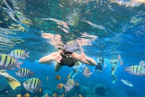 バリ：ヌサ・ペニダ フルデイツアー（スノーケリング付き）