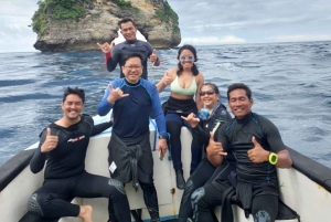 Bali: Nusa Penida Fun Scuba Diving with Ferry Ticket Options