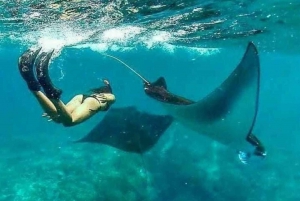 Bali - Nusa Penida Highlight Snorkeling and Land Tour