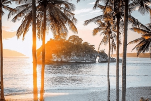 Bali/Nusa Penida: høydepunkter på naturtur i vestlige del av dagen og lunsj