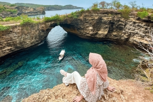 Bali/Nusa Penida: høydepunkter på naturtur i vestlige del av dagen og lunsj