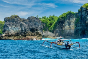 Bali: Nusa Penida Luxury Yacht with Manta Snorkel & Fishing