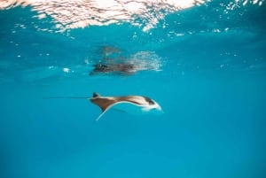 Bali/Nusa Penida: Manta Point Snorkel Boat & West Coast Tour