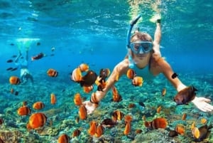 Bali/Nusa Penida: Manta Point Snorkel Boat & West Coast Tour