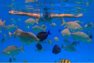 Bali/Nusa Penida: Manta Point Snorkel Boat & West Coast Tour