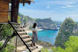 Bali/Nusa Penida: Destaques da viagem de 1 dia em viatura privada