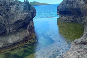 Bali/Nusa Penida: Destaques da viagem de 1 dia em viatura privada