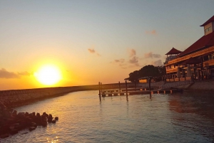 Bali/Nusa Penida: Destaques da viagem de 1 dia em viatura privada