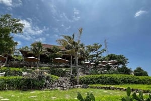 Bali: Nusa Penida Private Tour with Lunch and Driver